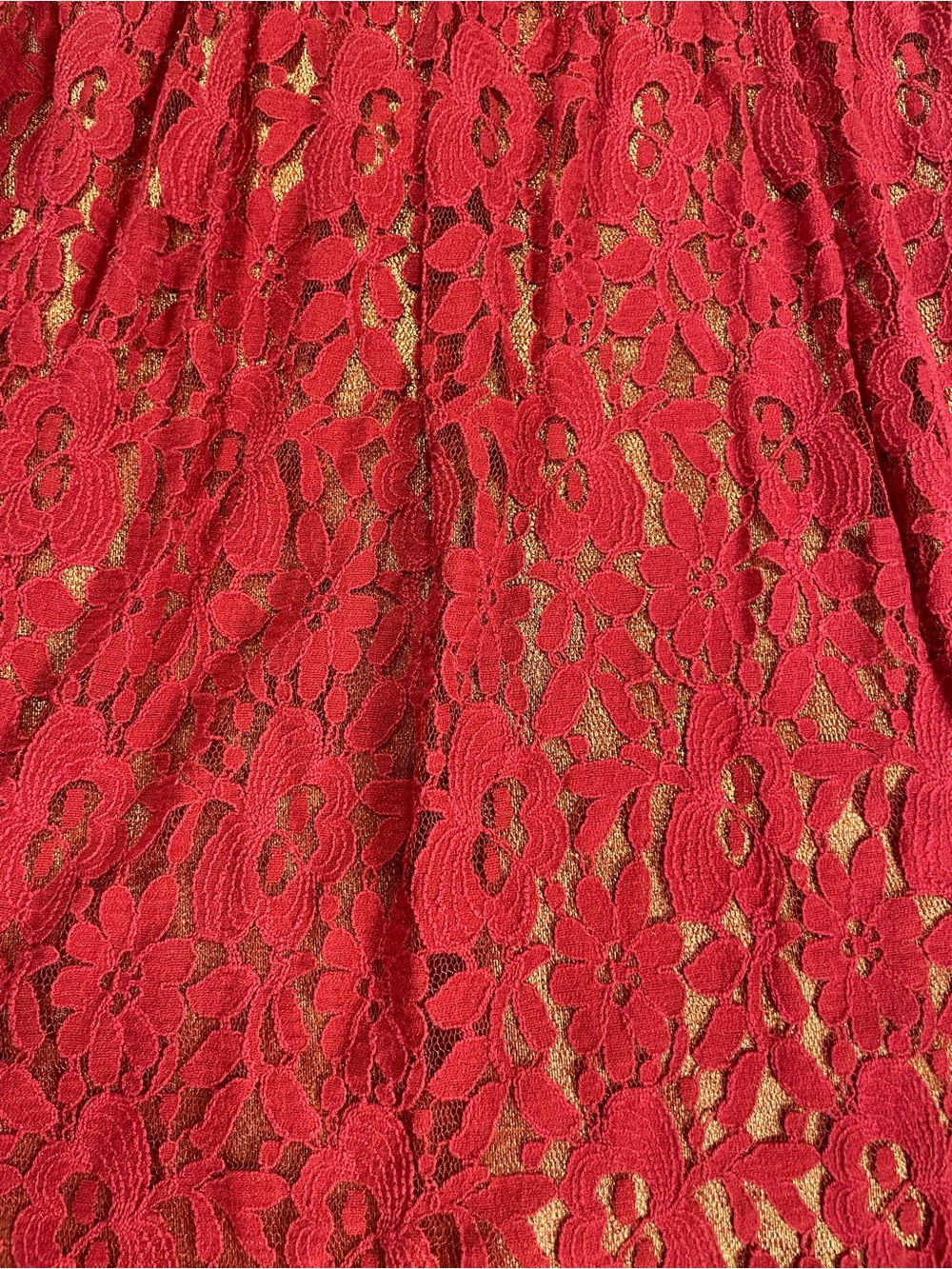 Greylyn Red Lace Fit & Flare Dress Gold Lining Romantic Cocktail Medium - Picture 5 of 10